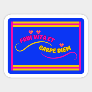 Enjoy Life Seize The Day Latin Phrase InBlue Sticker